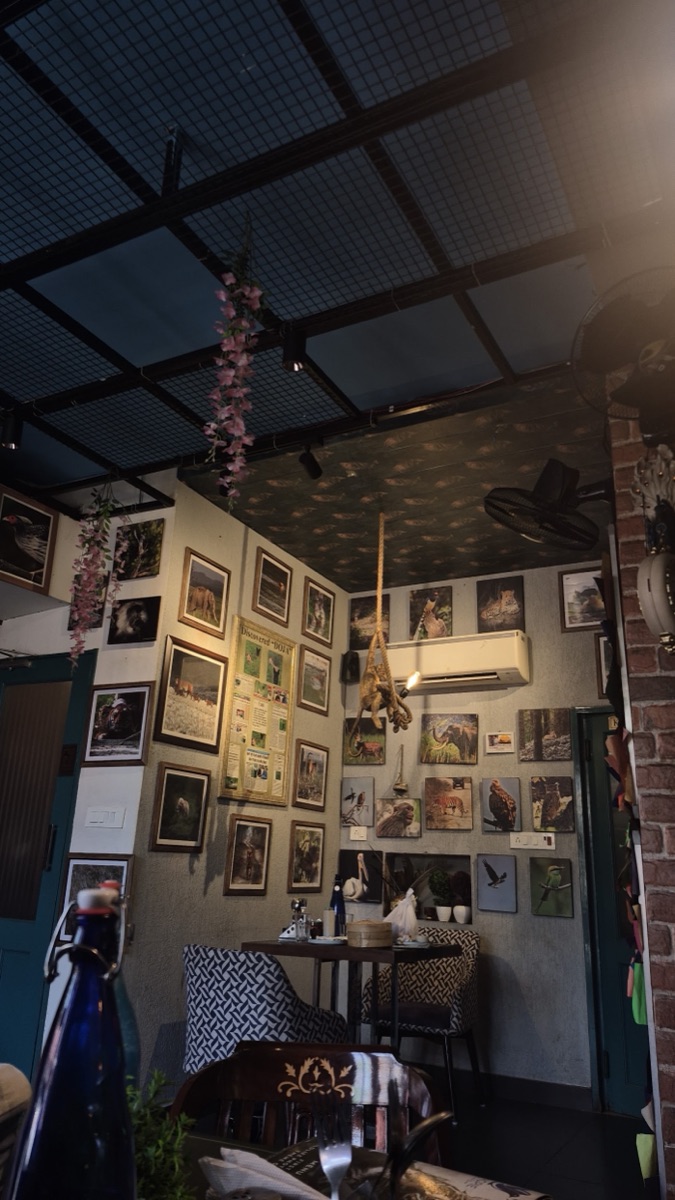 The gallery room at Magpie Cafe, its walls covered in framed wildlife photographs